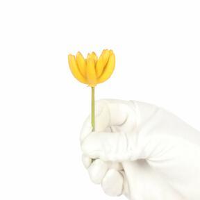 Umetni sočni lotus Esheveria rumena 9 cm
