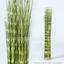 Umetni sveženj trave kitajski okras 63 cm