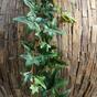 Umetni venec Ivy 180 cm