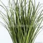 Umetni žlebni snop trave Navadna trstika 80 cm