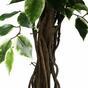 Umetno drevo Fikus liana 150 cm