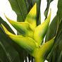Umetno drevo Heliconia 140 cm